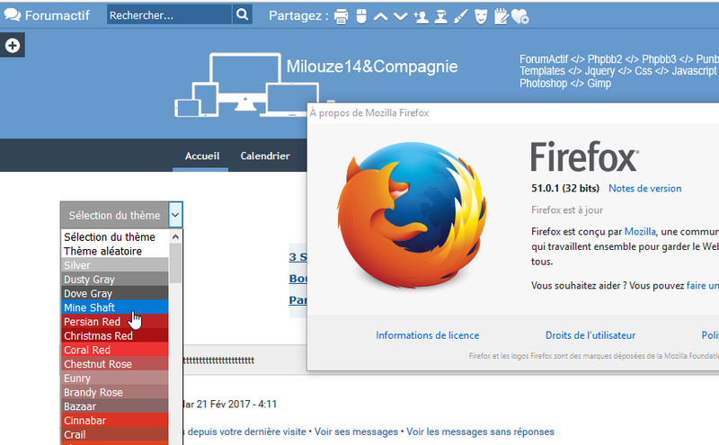 FireFox - [Bug] The theme selector with Firefox  110