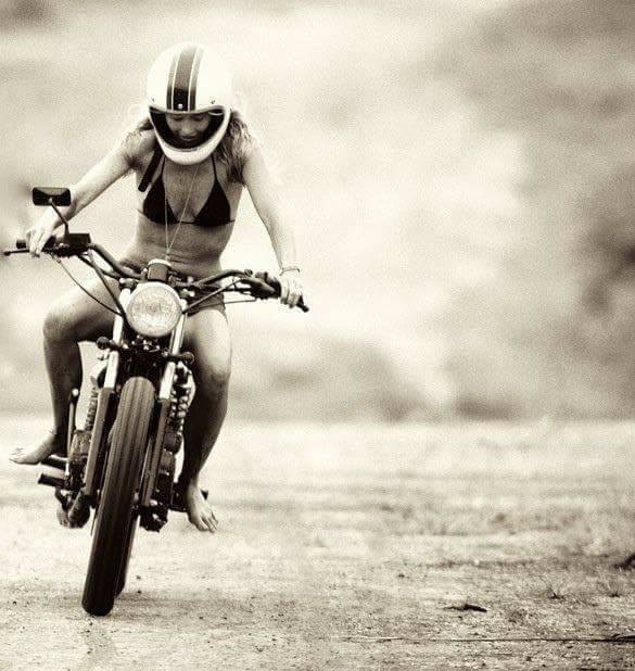 Babes & Bikes - Page 18 17991110