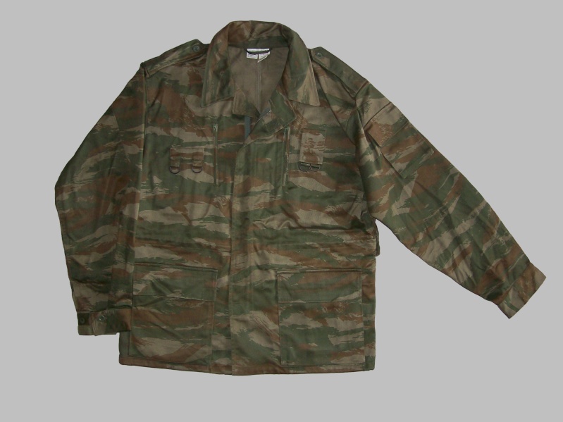 Serbian of Bosnian and Srpska repubic camouflage 100_3220