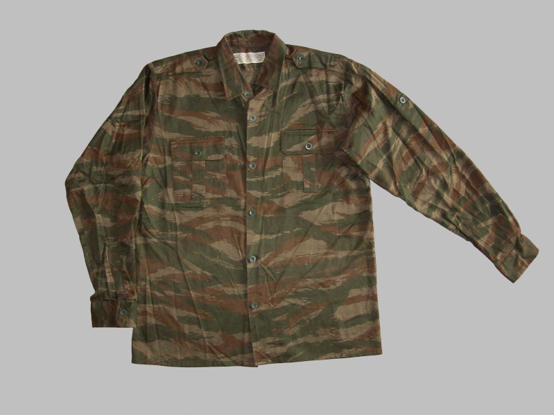 Serbian of Bosnian and Srpska repubic camouflage 100_3223