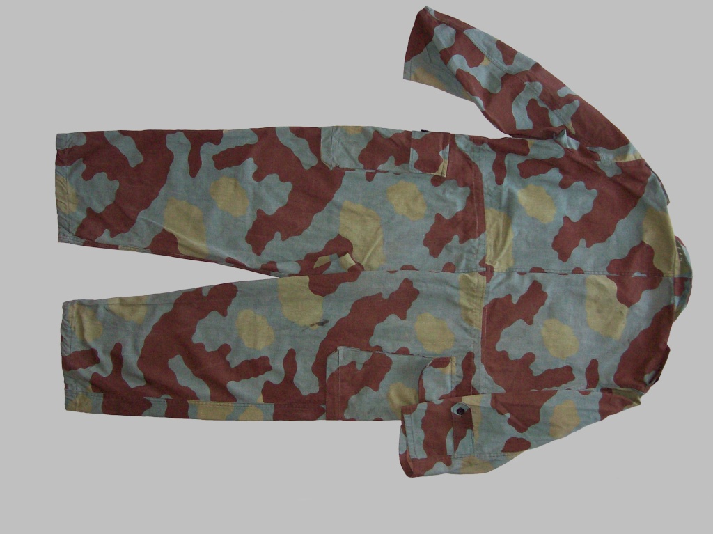 San Marco and COMBUSIN camouflage - Page 3 100_4311