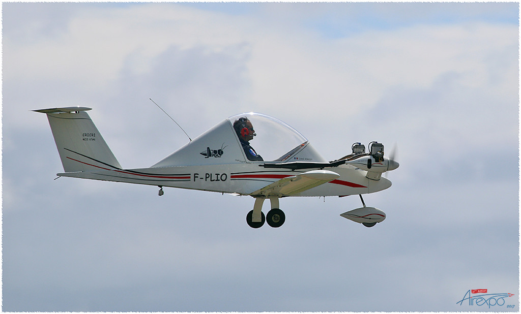 AIREXPO Muret-Lherm 20 mai 2017- 31ème édition Img_0610