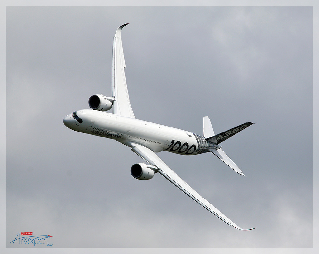 AIREXPO Muret-Lherm 20 mai 2017- 31ème édition Img_0911