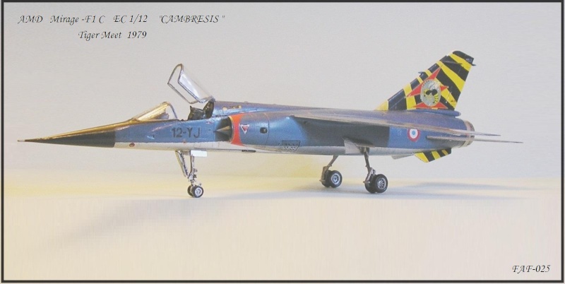 DASSAULT MIRAGE FI C Escadrille E/C 1/12 CAMBRESIS TIGER MEET 1979 Réf 80318 P1010078