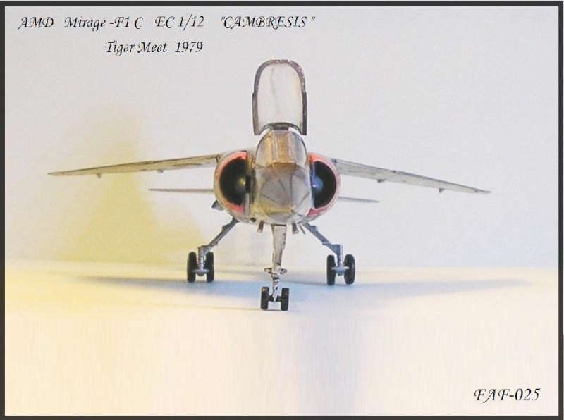 DASSAULT MIRAGE FI C Escadrille E/C 1/12 CAMBRESIS TIGER MEET 1979 Réf 80318 P1010080
