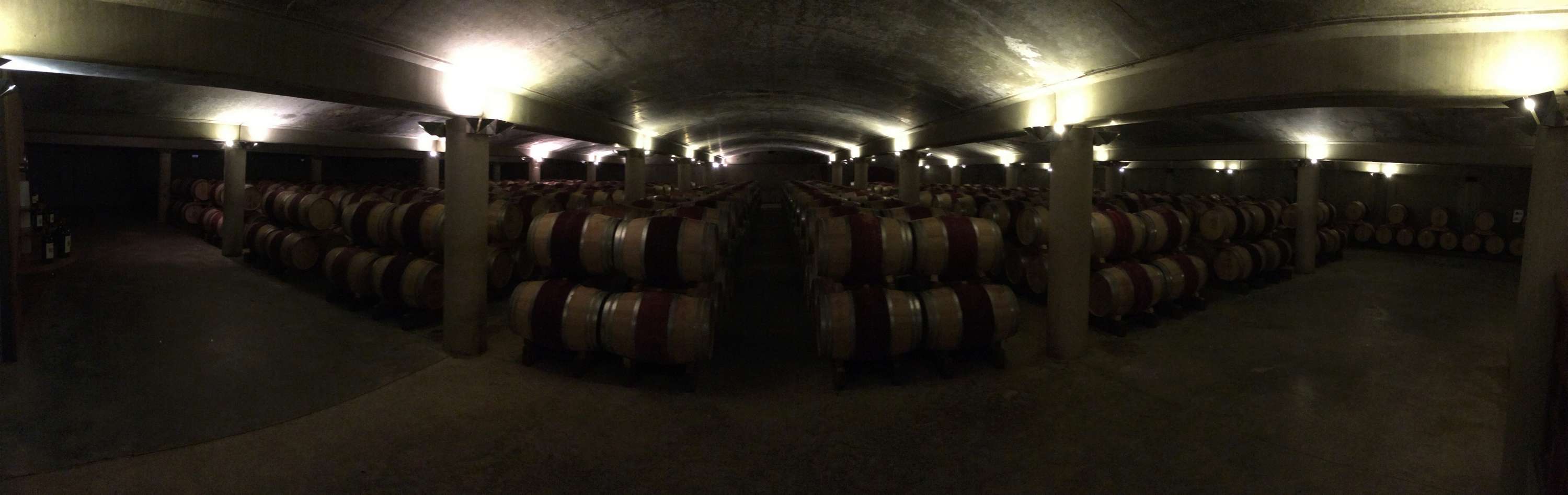 Le vignoble du Pessac Leognan - Page 15 Carbon59