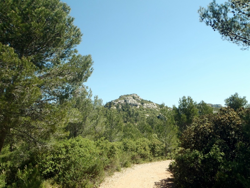 A la découverte des Alpilles P5050314