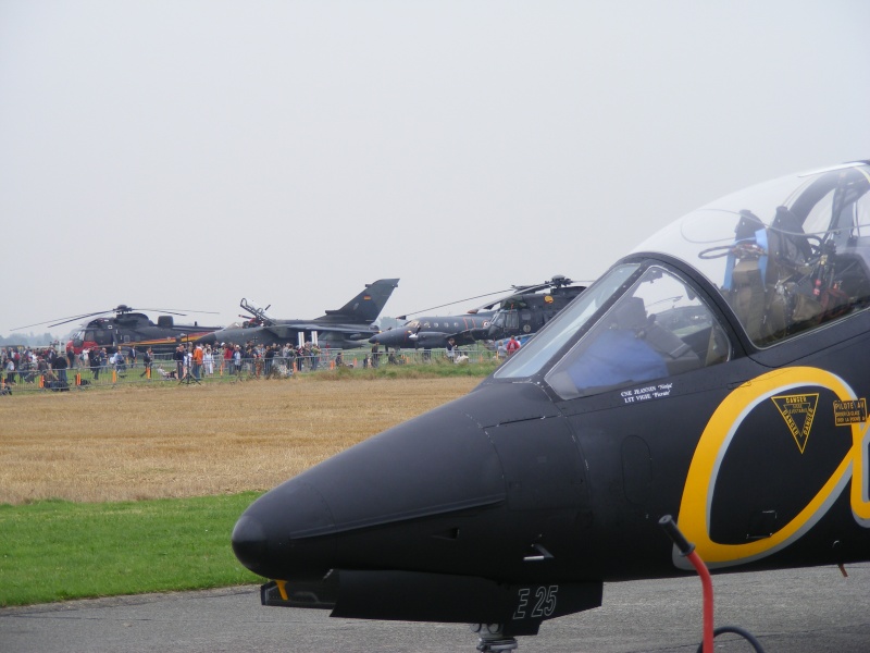 Koksijde-AIR DAY 2008 Dscf0813