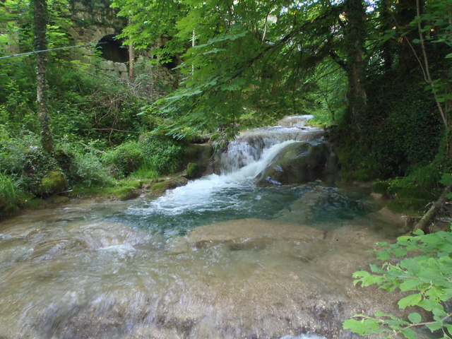 Ruisseau calcaire P5280015