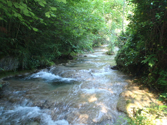 Ruisseau calcaire P5280022