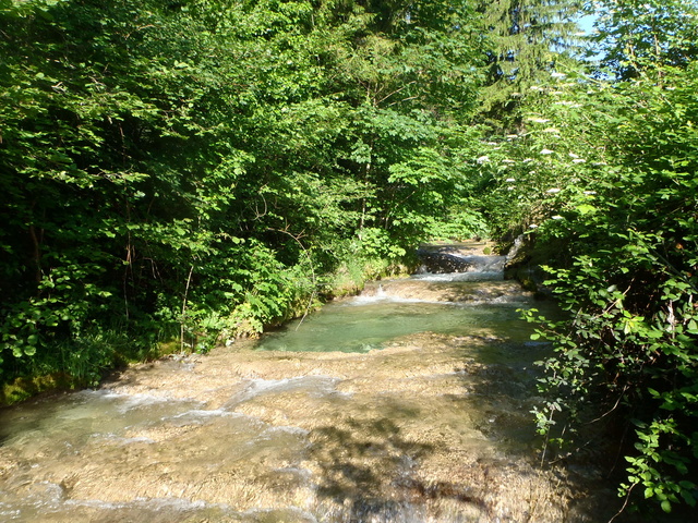 Ruisseau calcaire P5280025