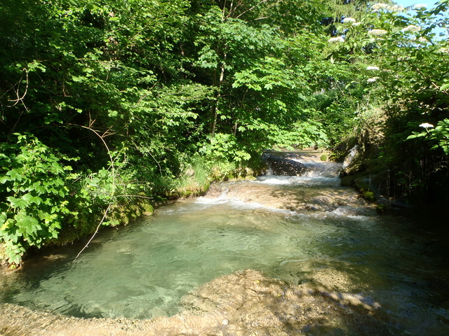 Ruisseau calcaire P5280026