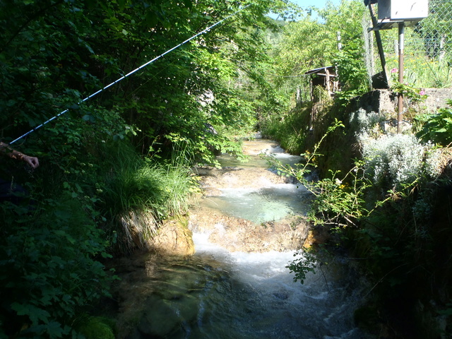 Ruisseau calcaire P5280031