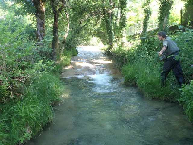 Ruisseau calcaire P5280032