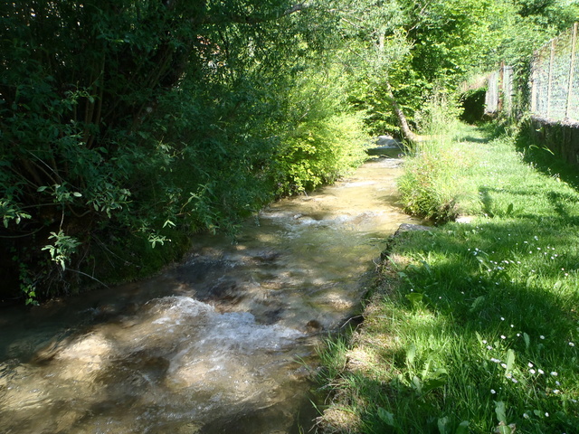 Ruisseau calcaire P5280034