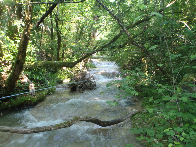 Ruisseau calcaire P5280036