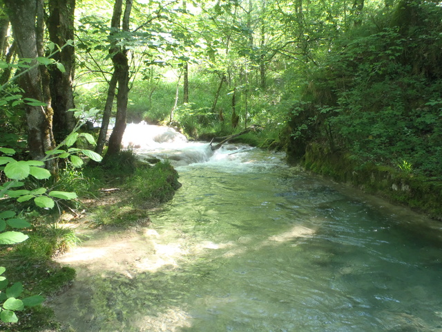 Ruisseau calcaire P5280039