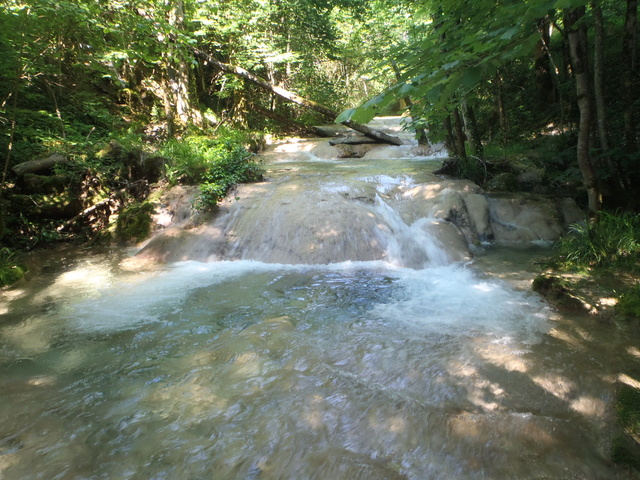 Ruisseau calcaire P5280042
