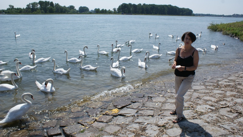 Au bord du Rhin Dsc00311