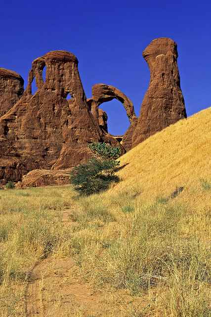 Le plateau de l'Ennedi Tchad_28