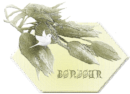 "Bonjour" divers tags ... Bonjou38