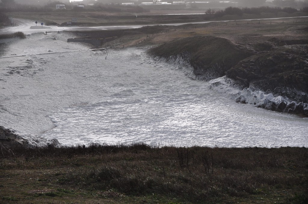 Tempête du 06/03/2017 Dsc_0093