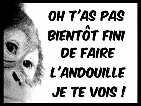 humour - Page 28 16730513