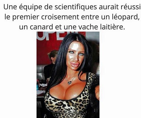 humour - Page 24 16832310