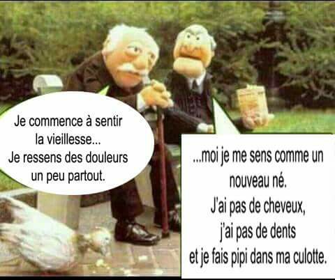 humour - Page 29 16864311