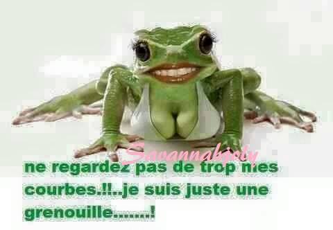 humour - Page 3 17458311