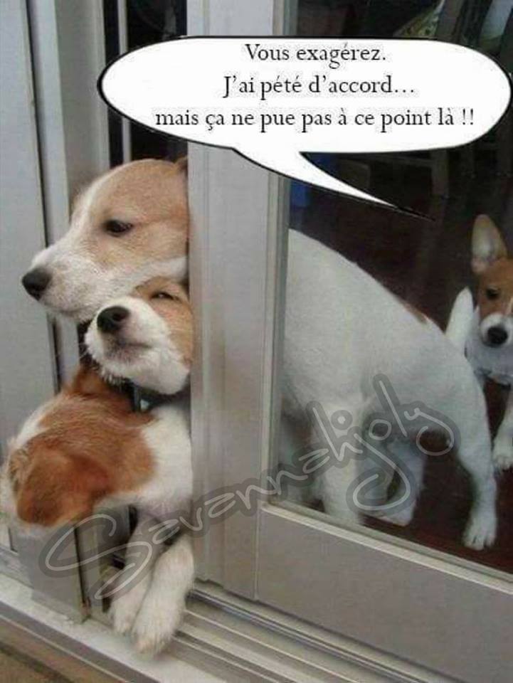humour - Page 9 18194710