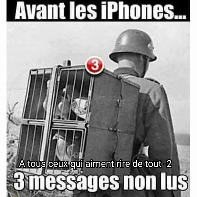 humour - Page 17 18664410