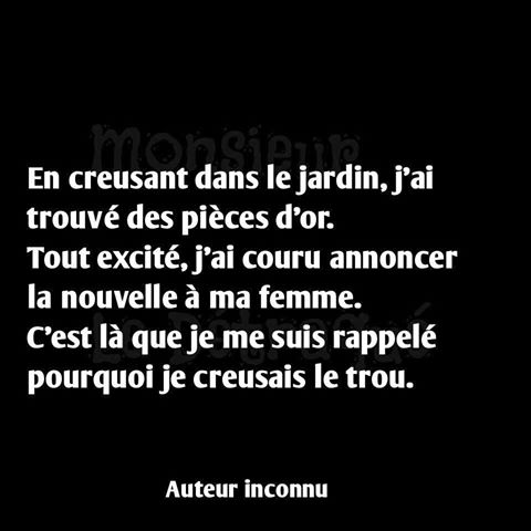 humour - Page 20 18740711