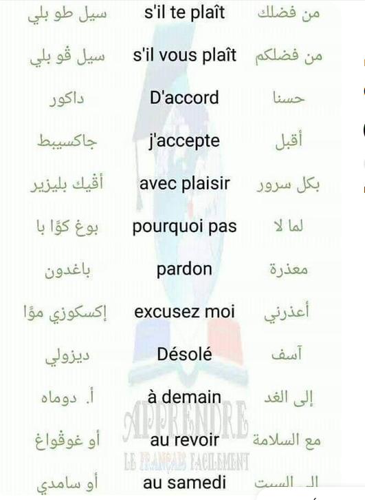 FLE langue arabe pour apprendre le français Captur30