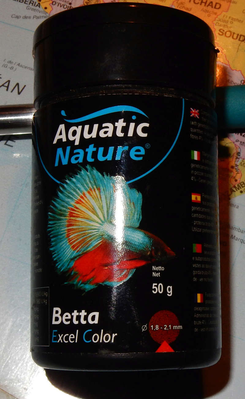 Futur aquarium pour Betta Dscn1023