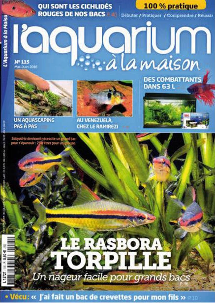 L'aquarium à la maison Par_de97