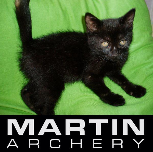 MARTIN ARCHERY : Un nouveau départ ! - Page 3 Sans_t10