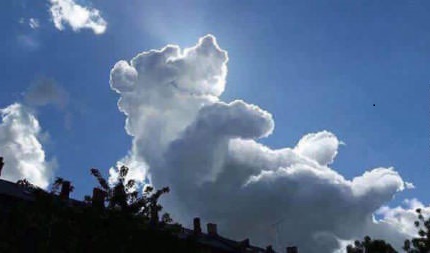 Dans le cloud. Bear10