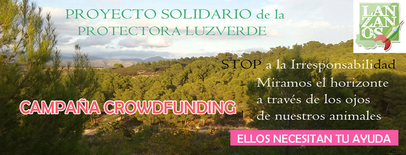 Campaña CROWDFUNDING Protectora LUZVERDE Retoca10