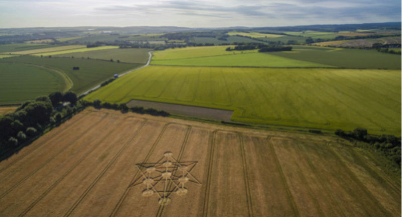 LES CROP CIRCLES............... QUELLE AVENTURE !!! - Page 7 Crop_j10