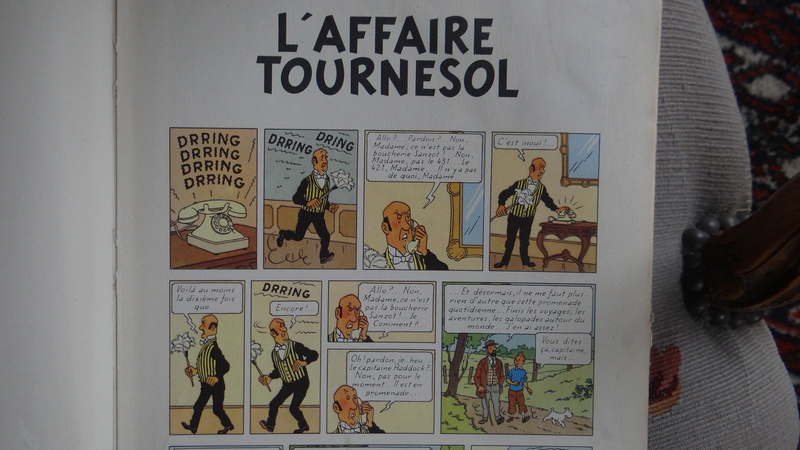 La grande histoire des aventures de Tintin. - Page 8 Dsc02714