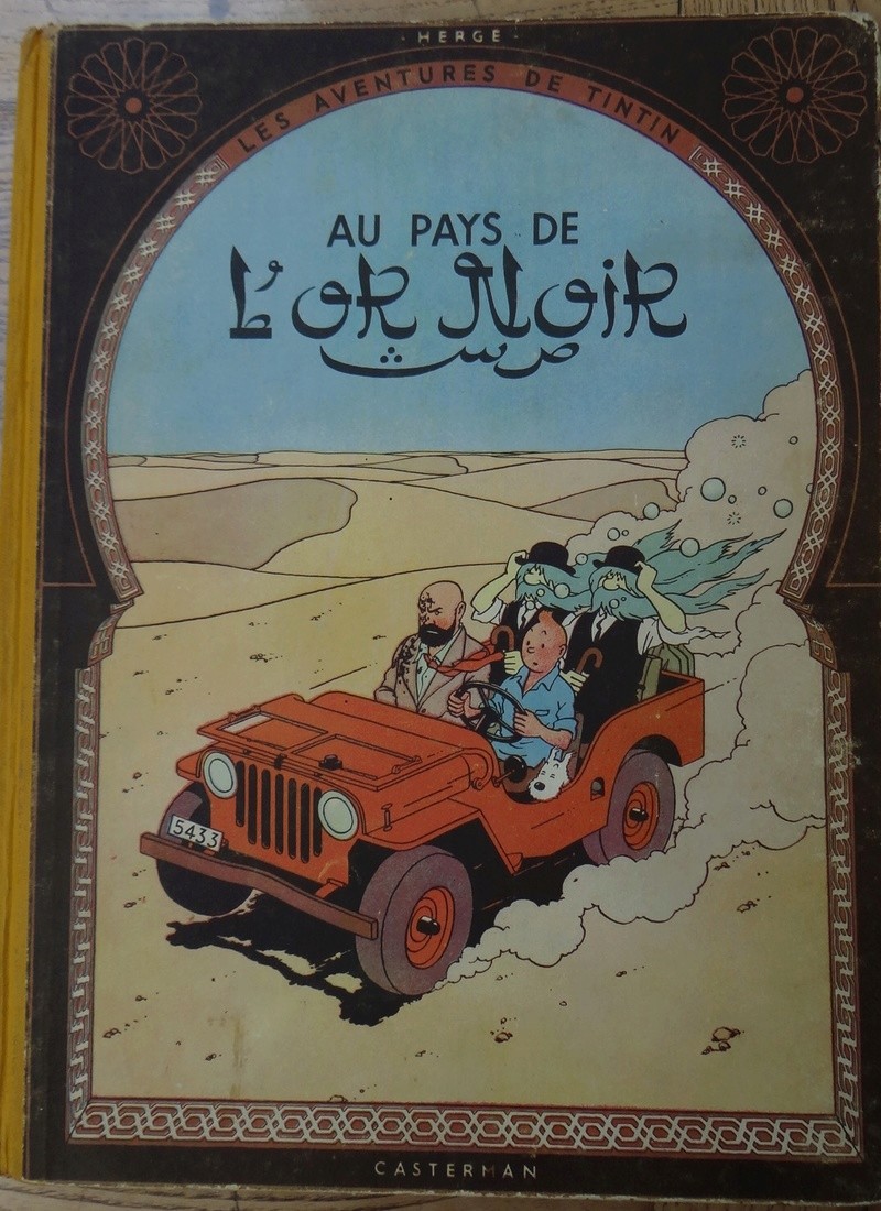 La grande histoire des aventures de Tintin. - Page 13 Dsc03012