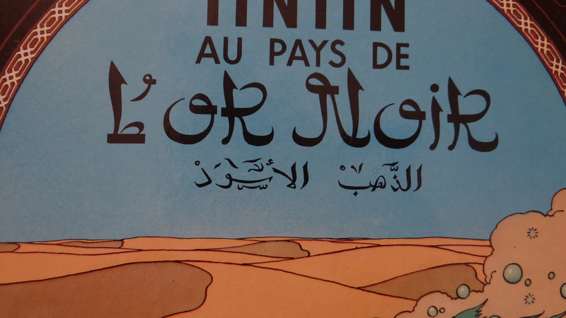 La grande histoire des aventures de Tintin. - Page 13 Dsc03013