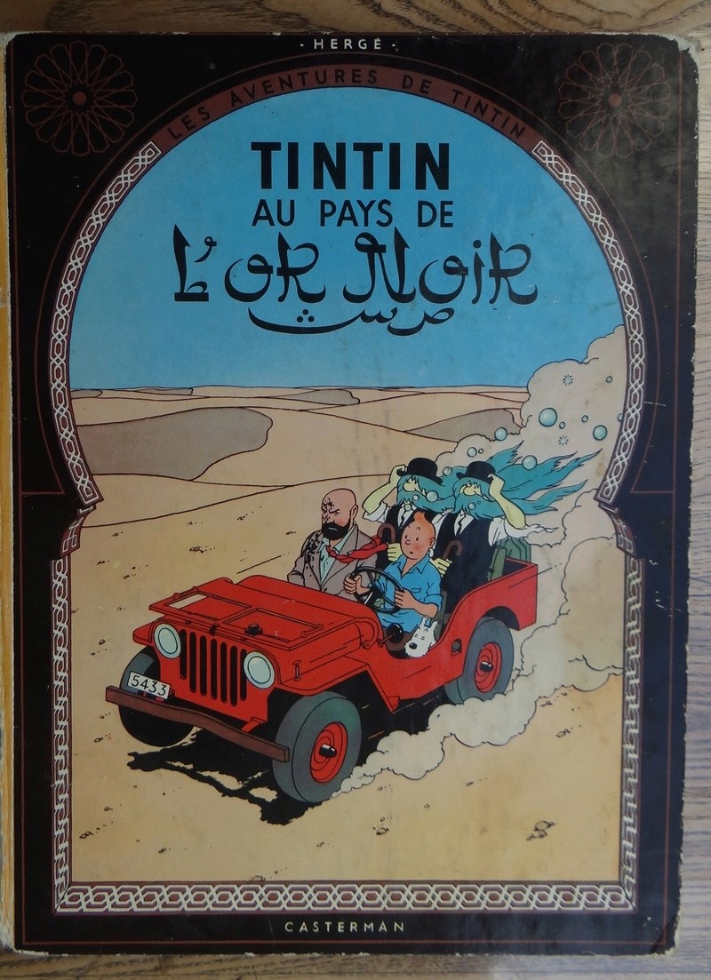 La grande histoire des aventures de Tintin. - Page 13 Dsc03015