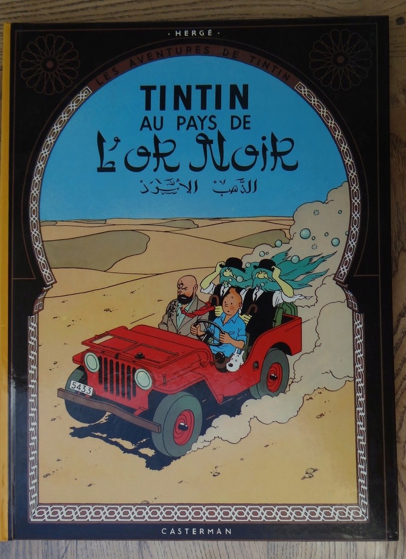 La grande histoire des aventures de Tintin. - Page 13 Dsc03016