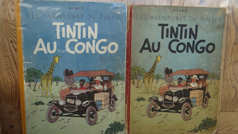 La grande histoire des aventures de Tintin. - Page 16 Dsc03035