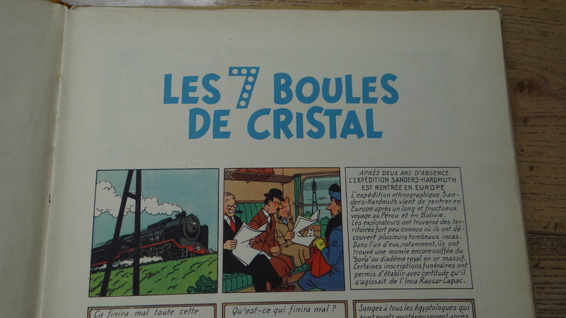 La grande histoire des aventures de Tintin. - Page 17 Dsc03038