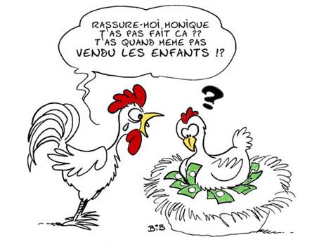 Bonjour!!!!!!!!!!!!!!!!!!!!!!!!! Poule_11