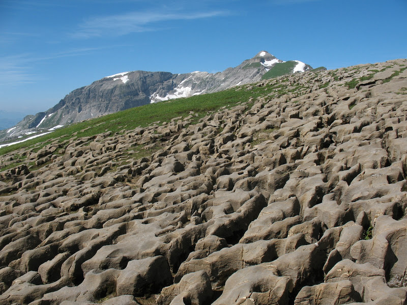 Le désert de Platé : un désert français tout près du Mont-Blanc Plata_15