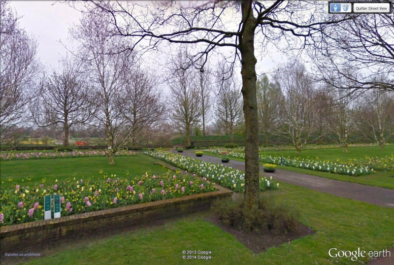 Parc floral de Keukenhof à Lisse - Pays-Bas Tulip110